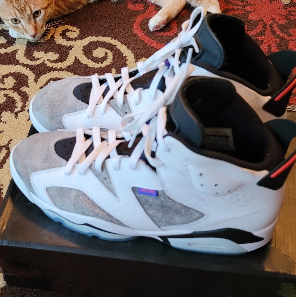 Jordan 6s
